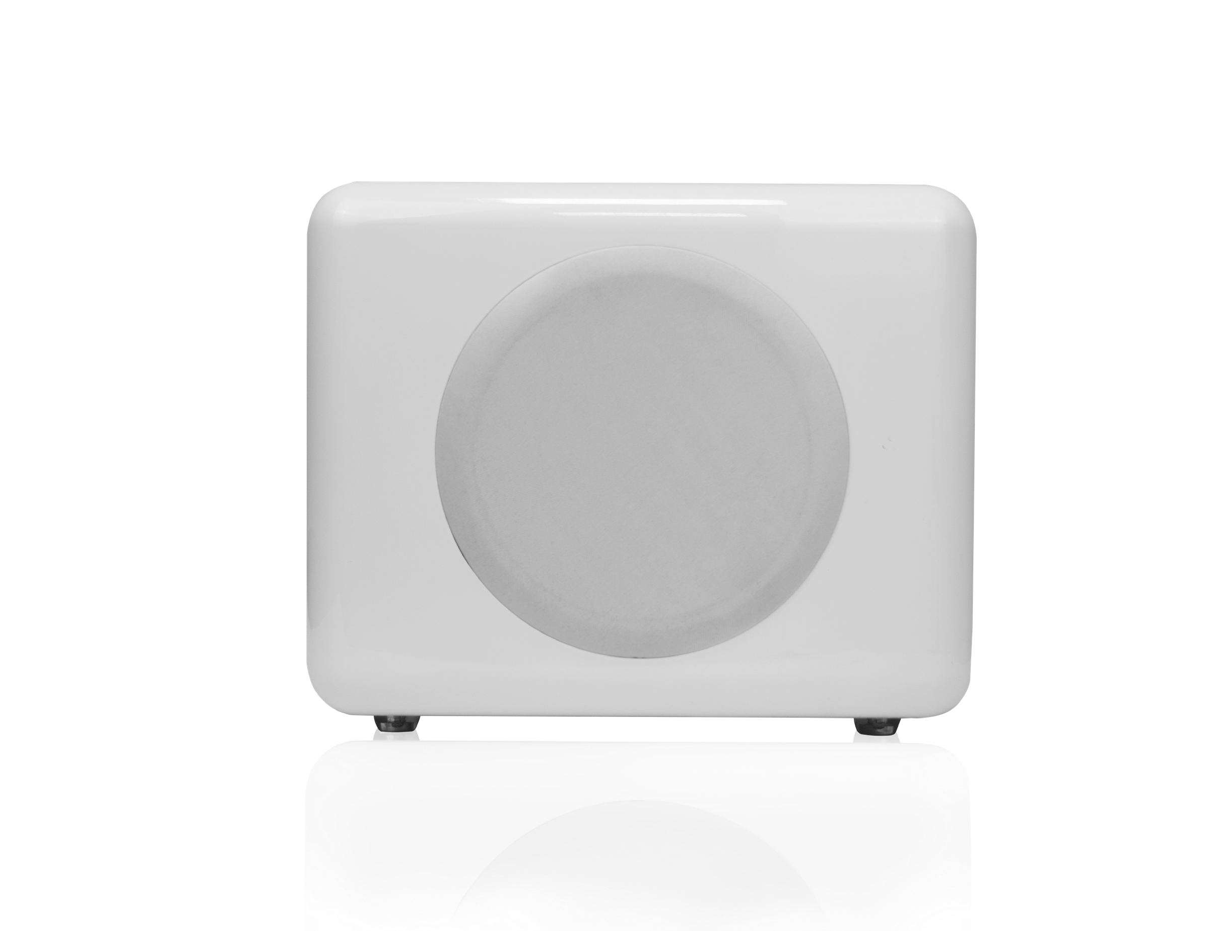 Subwoofer de cine en casa: subwoofer de 8 pulgadas